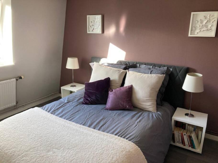 Agreable Et Spacieuse Maison Centre Ville Saint-Omer Exterior photo